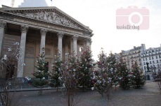 Christmas trees in front of the Pantheon